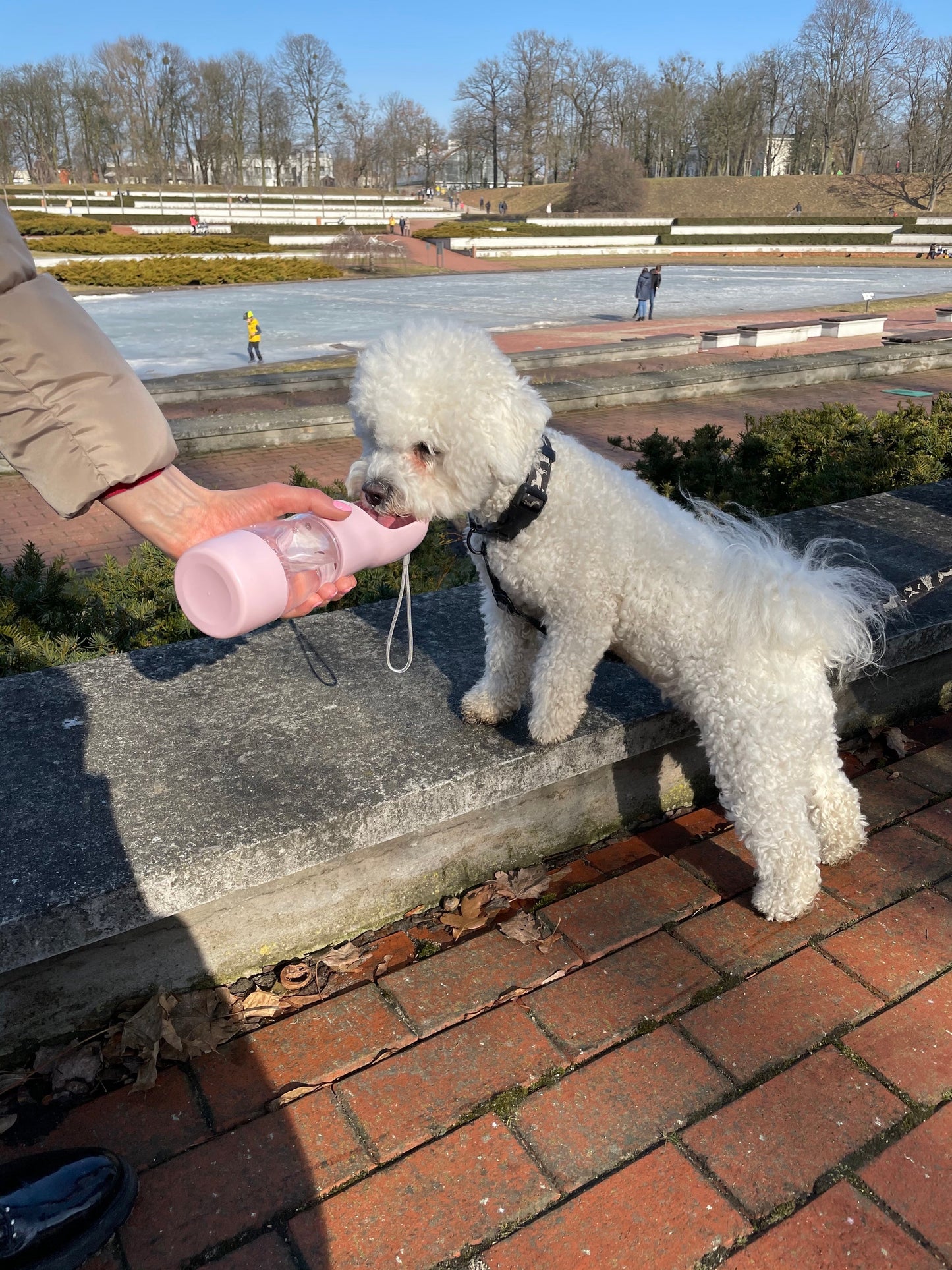 2-in-1 Portable Dog Water Bottle & Travel Bowl