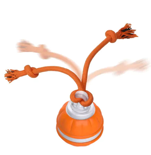 Motion-activated rolling dog ball