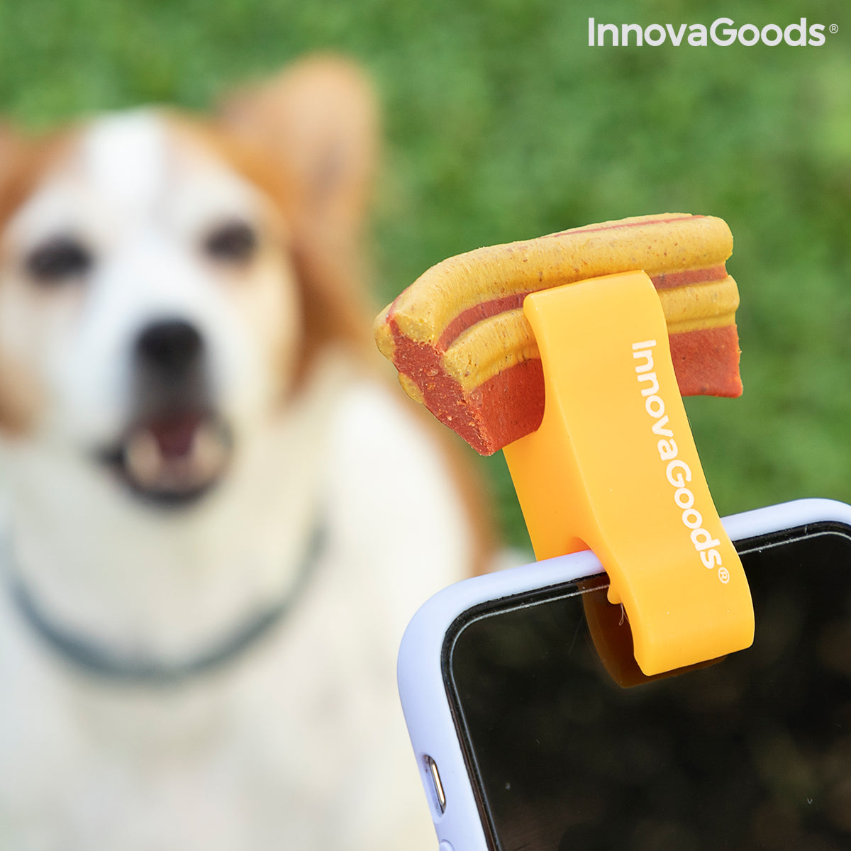 Pet Selfie Clip — Perfect Dog & Cat Photos