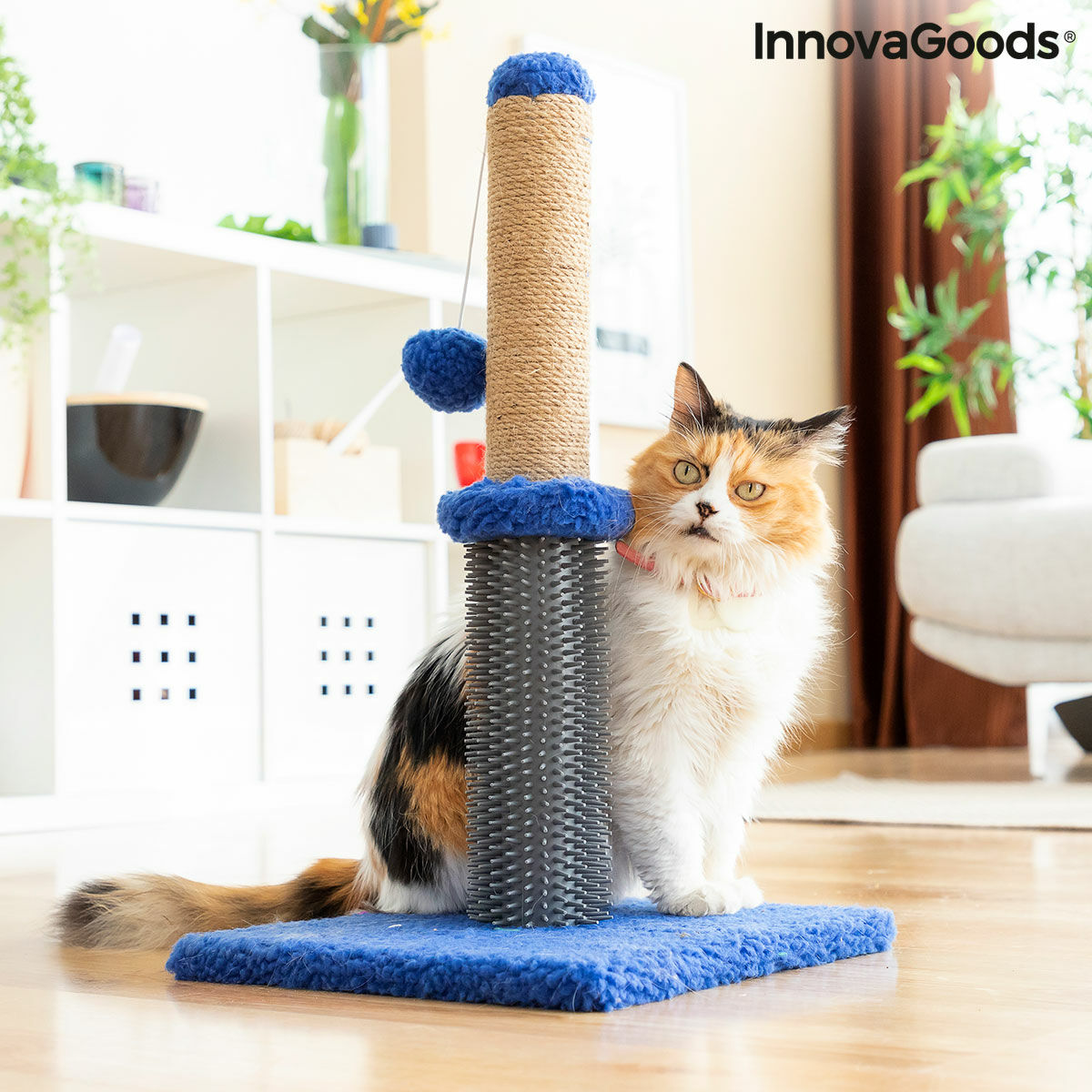 Miausage Cat Scratching & Massage Post with Ball