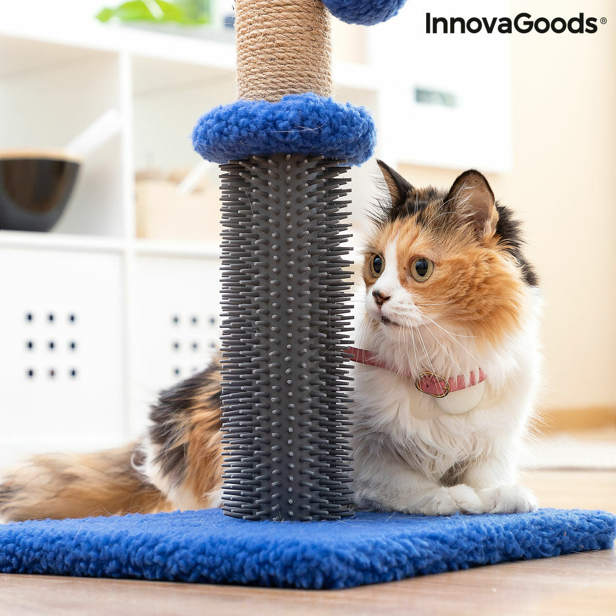 Miausage Cat Scratching & Massage Post with Ball