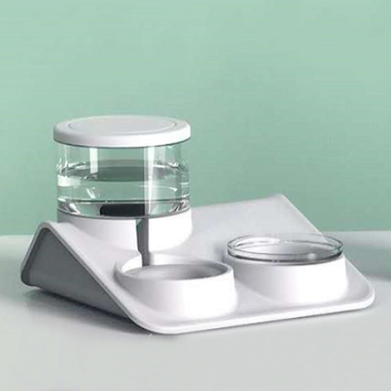 Automatic pet feeder with dual bowls