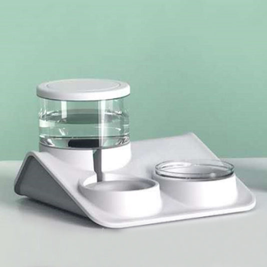 Automatic pet feeder with dual bowls