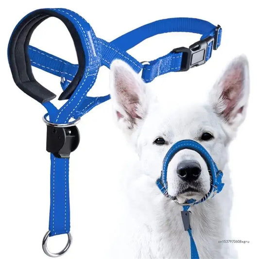 No-pull dog head halter training collar