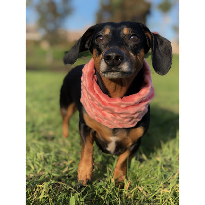 Hubba Hubba Matching Dog Scarf