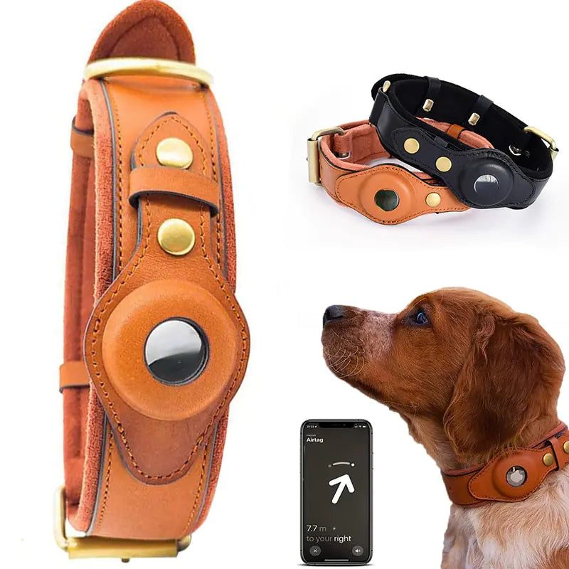 Brown leather dog collar with engraved ID name tag