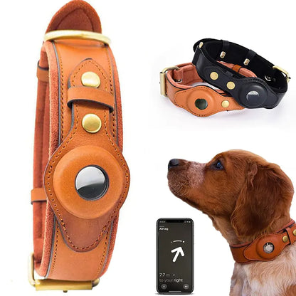 Brown leather dog collar with engraved ID name tag