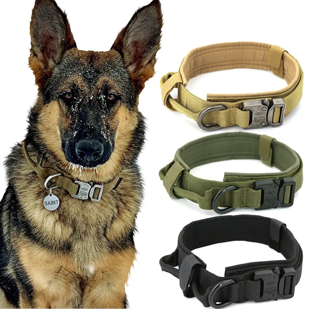 Adjustable nylon dog collar with secure buckle