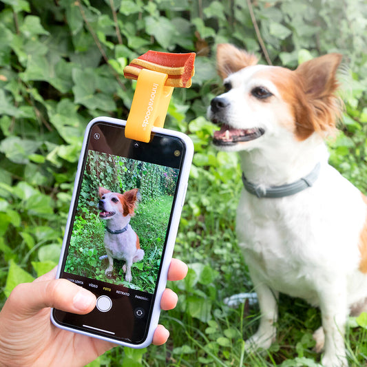 Pet Selfie Clip — Perfect Dog & Cat Photos