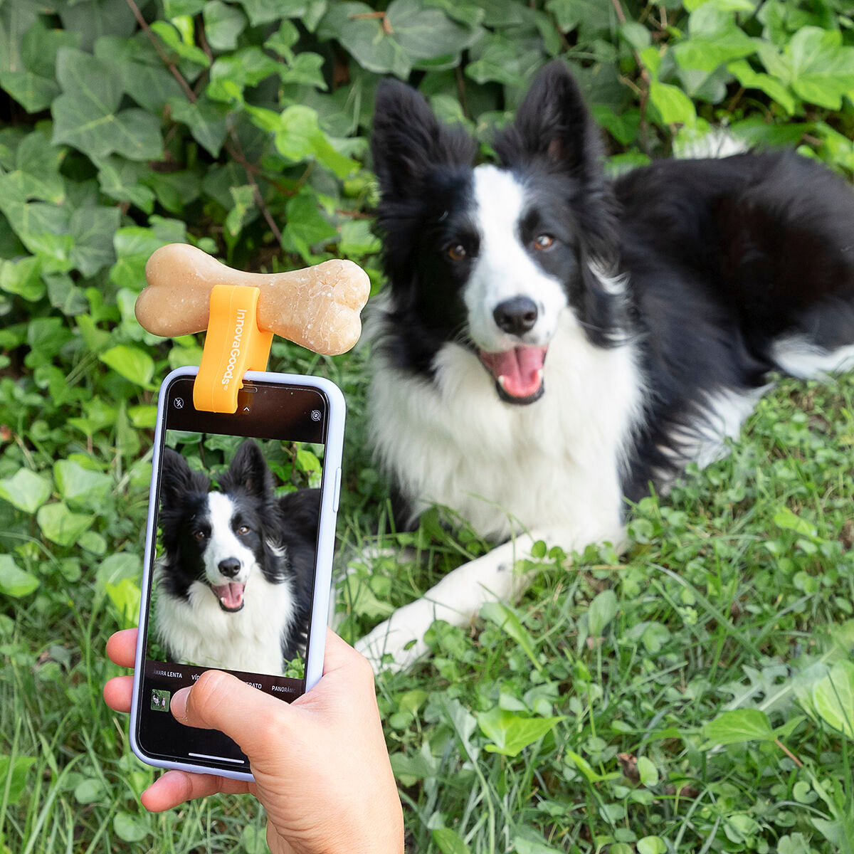 Pet Selfie Clip — Perfect Dog & Cat Photos