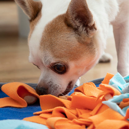 Fooland Snuffle Mat for Dogs — Slow Feed & Brain Games