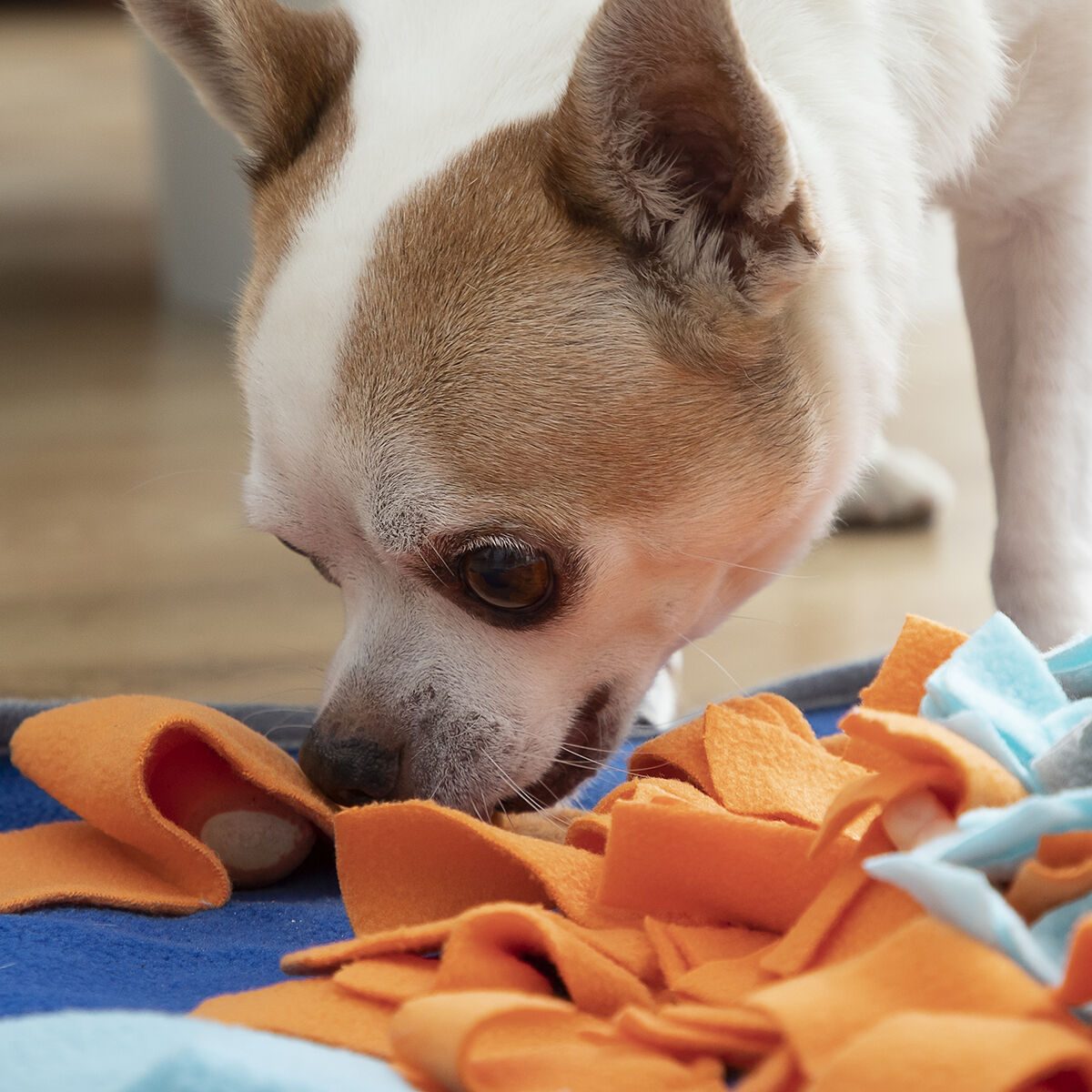 Fooland Snuffle Mat for Dogs — Slow Feed & Brain Games
