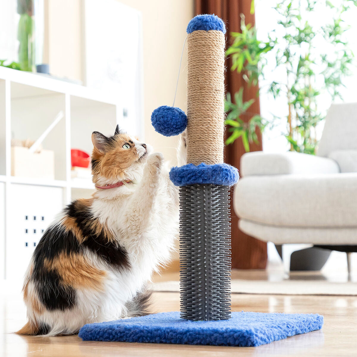 Miausage Cat Scratching & Massage Post with Ball
