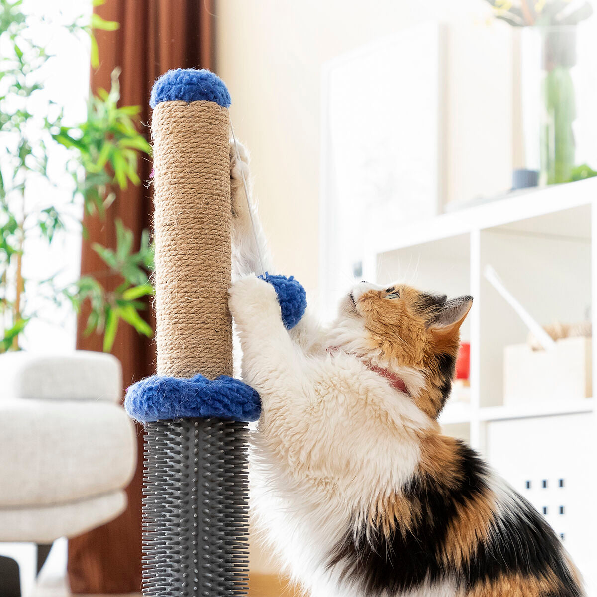 Miausage Cat Scratching & Massage Post with Ball