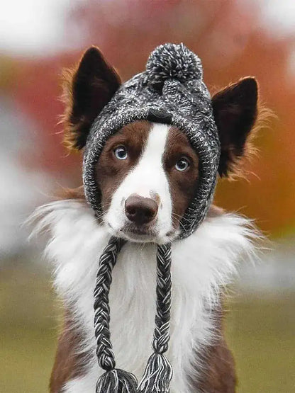 Dog hat with ear holes for sun protection